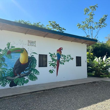 Bambura Bahia Villas Uvita Zewnętrze zdjęcie