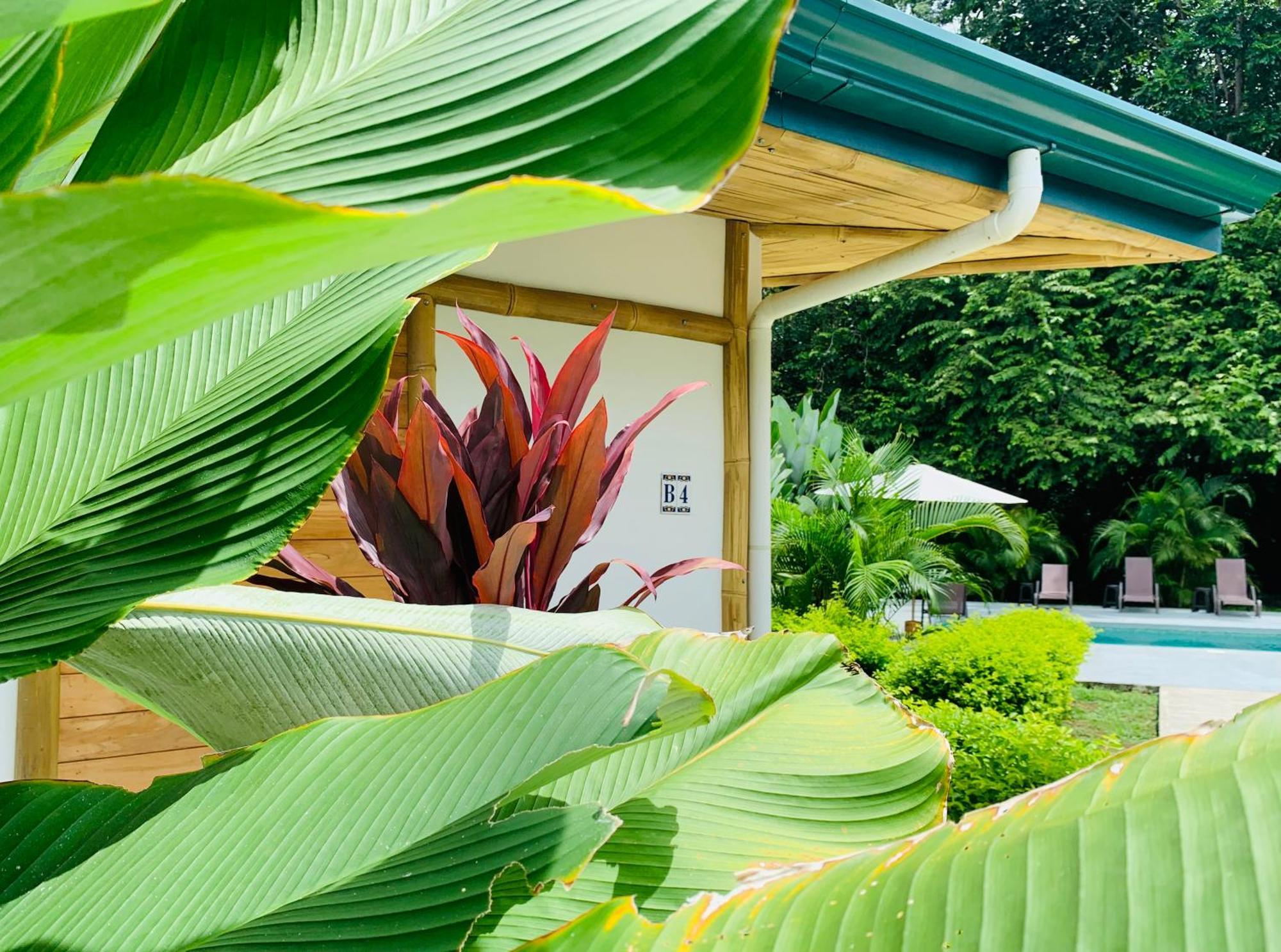 Bambura Bahia Villas Uvita Zewnętrze zdjęcie